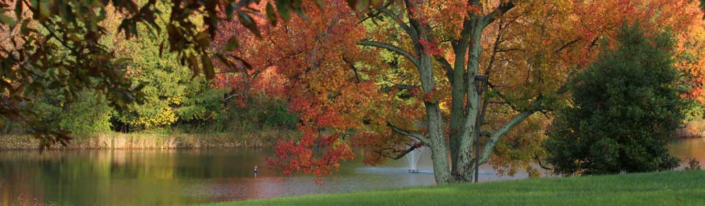 IUS Campus Image