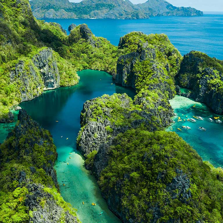 Plant covered rocks along the coast of Palawan, Philippines